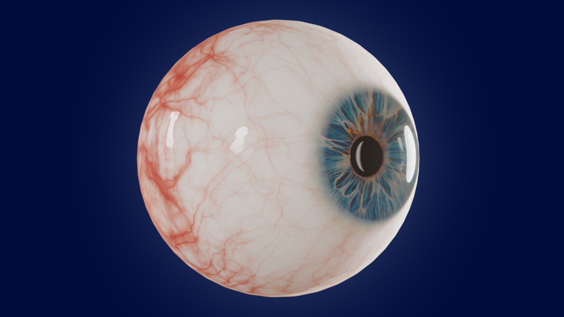 3d Photorealistic Human Eye Model Turbosquid 1803077