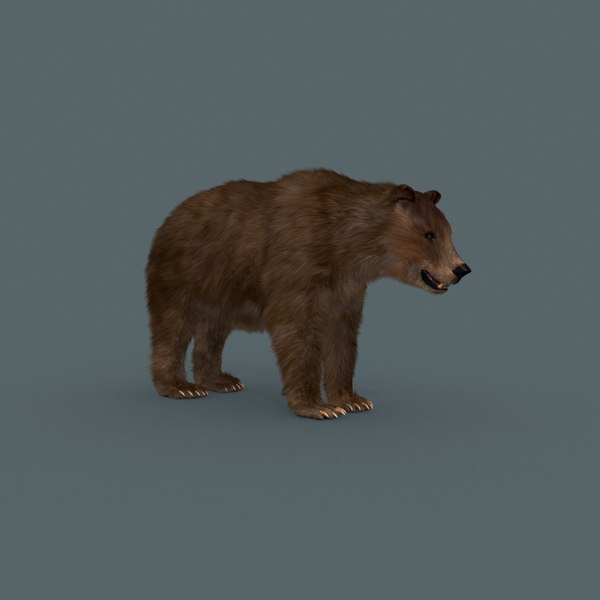 modelo 3d El mejor oso - 3D animado oso pardo - TurboSquid 1405085