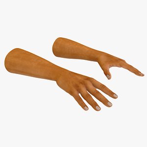 3D model European Man Hands Rigged for Maya