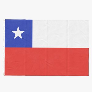 Flag Laying Pose Chile
