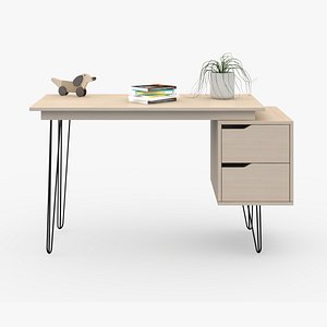 3D Desk in home D11