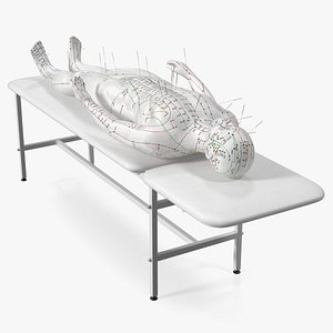 Male Acupuncture Mannequin on the Couch 3D