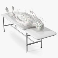 Male Acupuncture Mannequin on the Couch