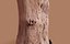 Ax n 'Log Photogrammetry