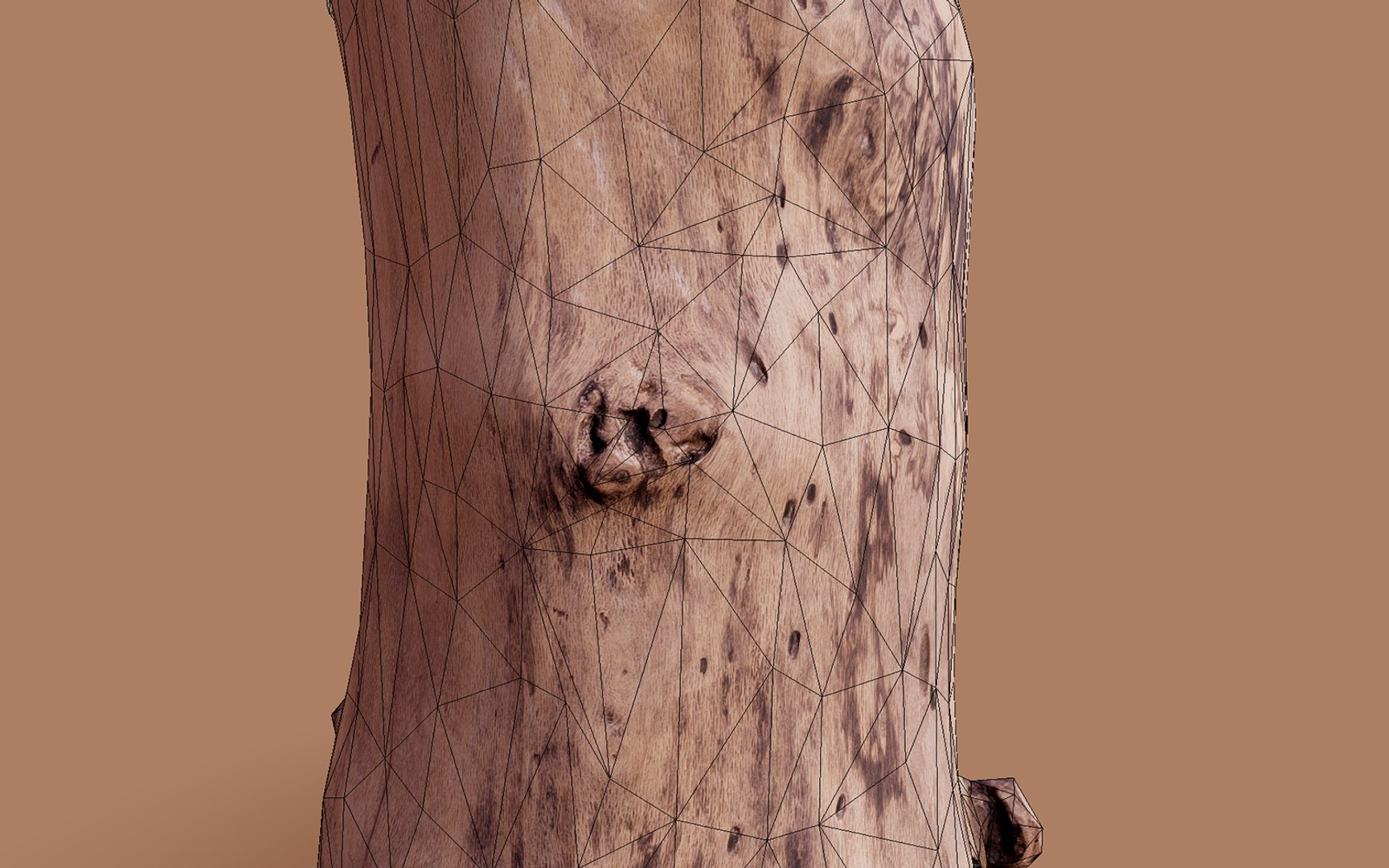 axe n log photogrammetry model https://p.turbosquid.com/ts-thumb/VT/muWvzd/l5Nzji2p/screenshot67/png/1558637804/1920x1080/fit_q87/606d79540a57e8c5fb6a2f026f0c0d40593044a2/screenshot67.jpg