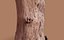 Ax n 'Log Photogrammetry