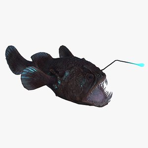 The Anglerfish 02 Curse. low poly fish. Ocean predator. Angler fish 3d  model #8