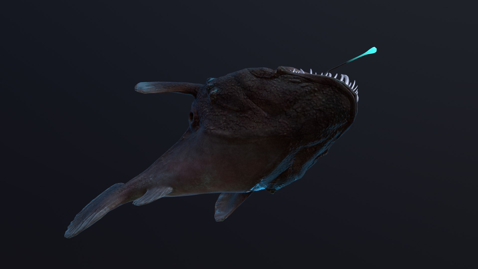 Angler Fish model https://p.turbosquid.com/ts-thumb/VU/4d0YkD/SJ/screenshot006/png/1700664155/1920x1080/fit_q87/4bbac07d1ee2a1c7e76abd865e8a4fb728f92a96/screenshot006.jpg
