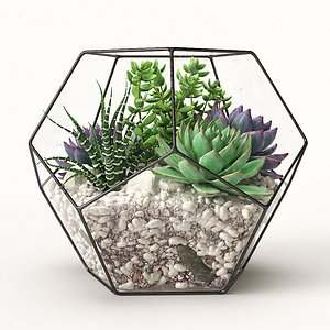 3D model florarium
