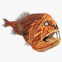 Common Fangtooth Fish