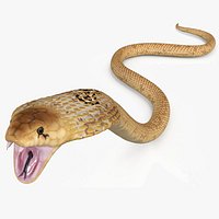 Indian Cobra Attack Pose Light Color