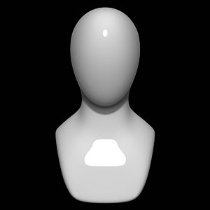3D mannequin head man model
