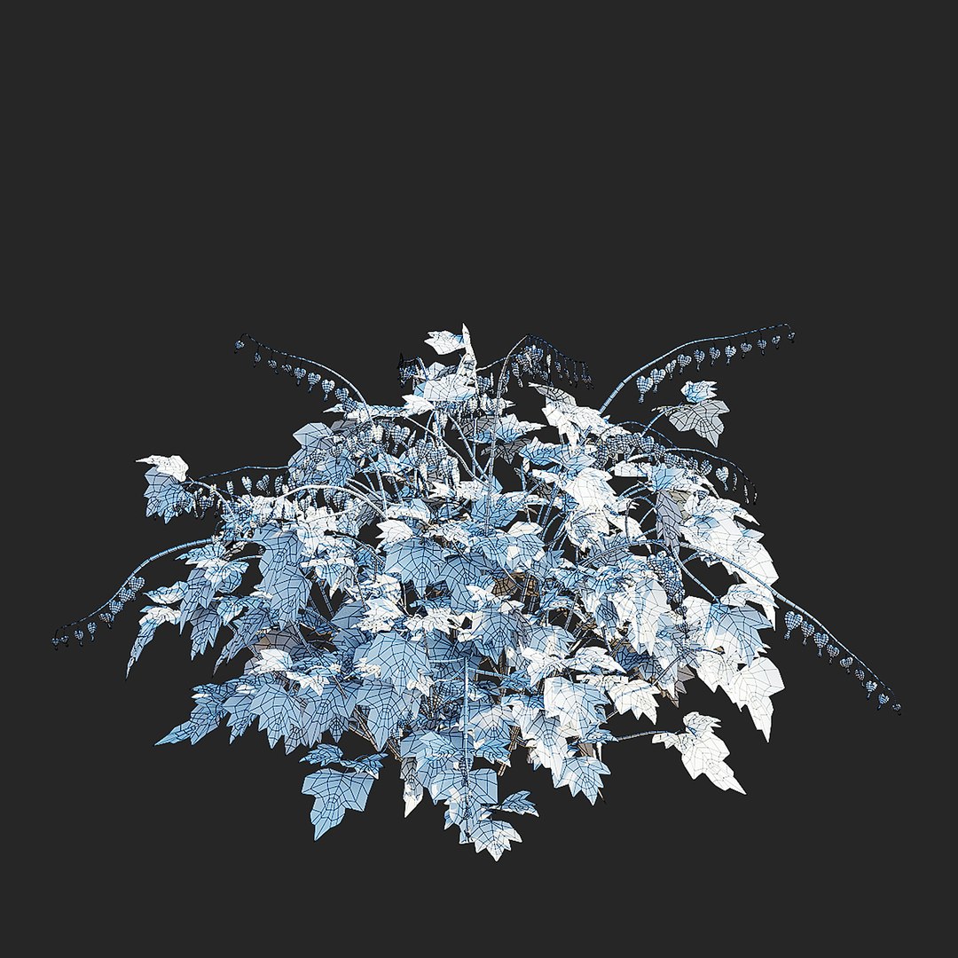 Dicentra spectabilis flower 3D https://p.turbosquid.com/ts-thumb/VU/QcuLCE/Yv/dicentra_spectabilis_view_010/jpg/1720015362/1920x1080/fit_q87/49e90327651e3d5c69a794053a074474b9c816ee/dicentra_spectabilis_view_010.jpg
