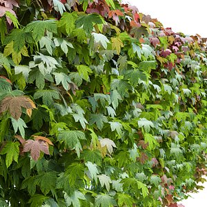 set bushes fences 3d fbx