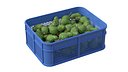 Soursop Plastic Crate