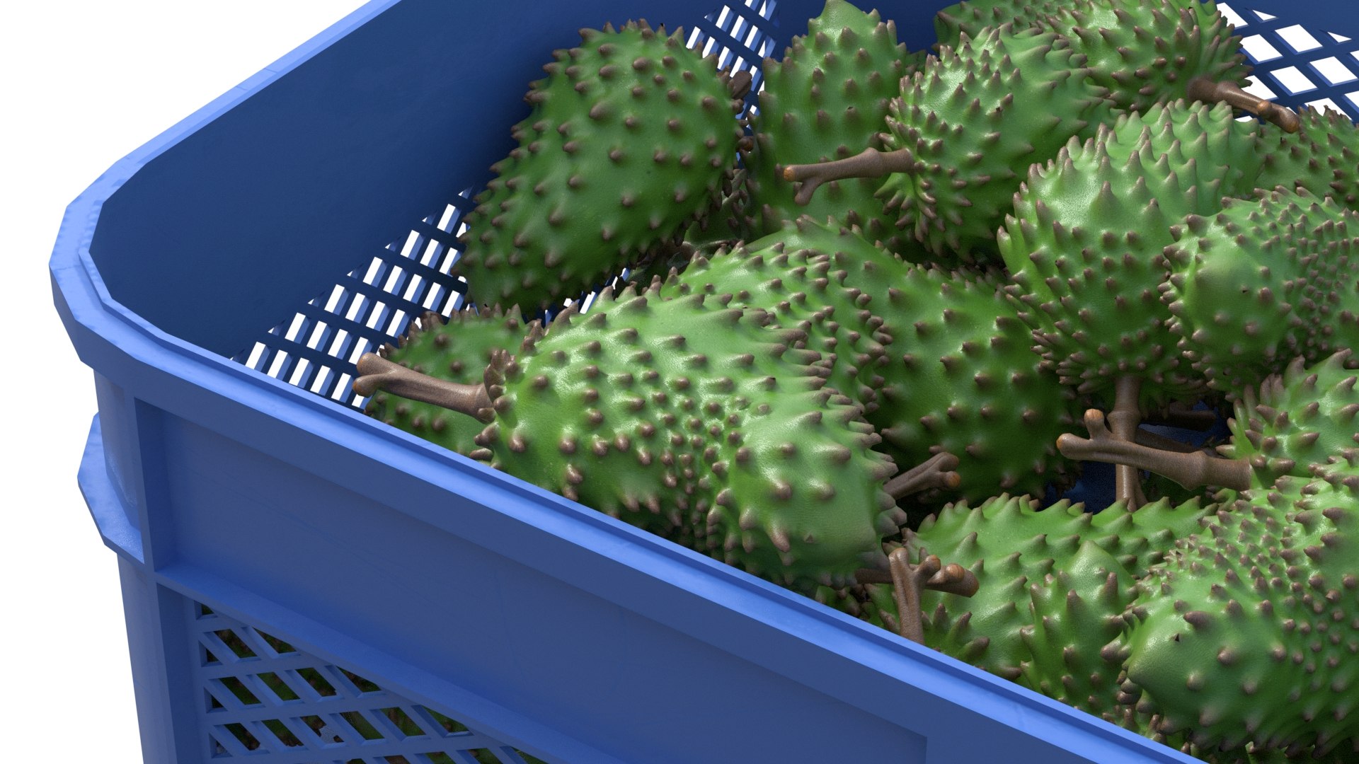 Soursop Plastic Crate 3D https://p.turbosquid.com/ts-thumb/VU/g2nFQJ/JV/4/jpg/1778739419/1920x1080/fit_q87/14fc98b9b866f9dfa9a894eb128d465a31c64336/4.jpg