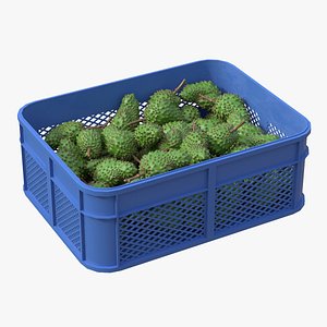Soursop Plastic Crate 3D