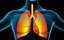 Lungs X-Ray