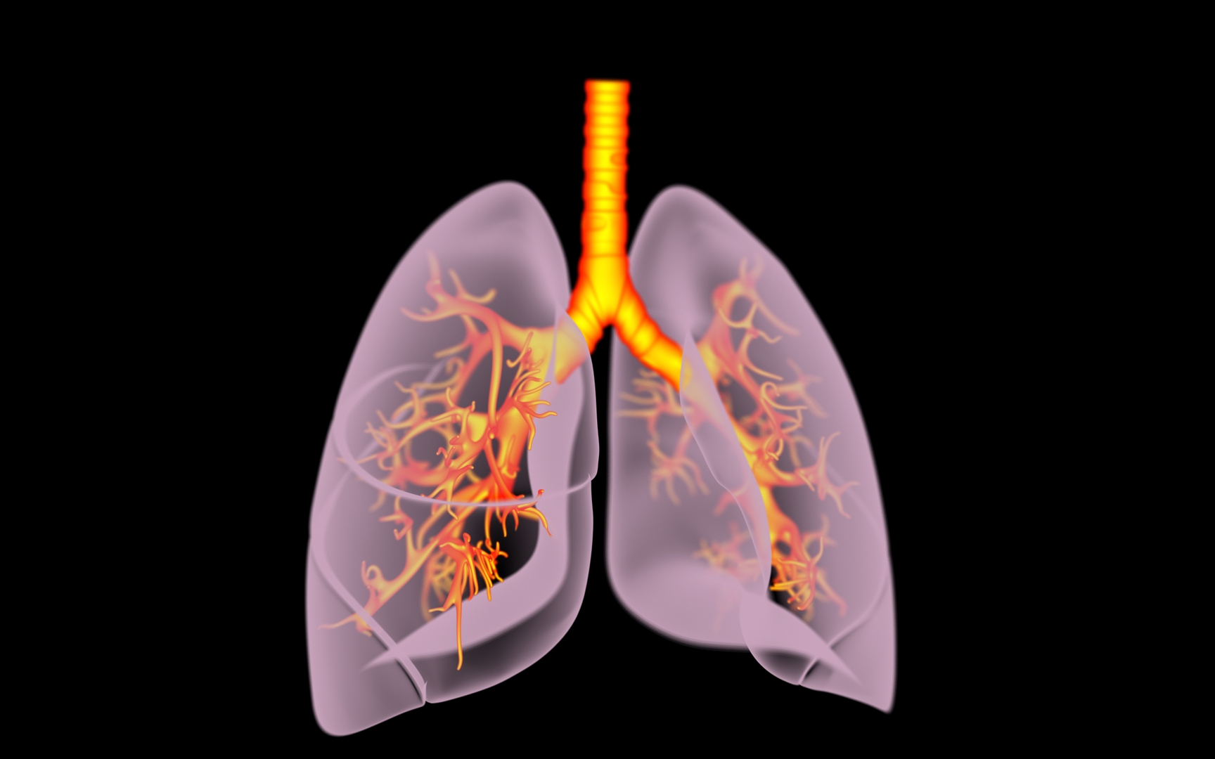 3D Lungs X-Ray model https://p.turbosquid.com/ts-thumb/VU/up1TsB/KB/lungs_x/jpg/1669585866/1920x1080/turn_fit_q99/c273e55192b478423747b9cdc307b18b924961eb/lungs_x-1.jpg