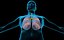 Lungs X-Ray