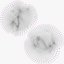 Lungs X-Ray