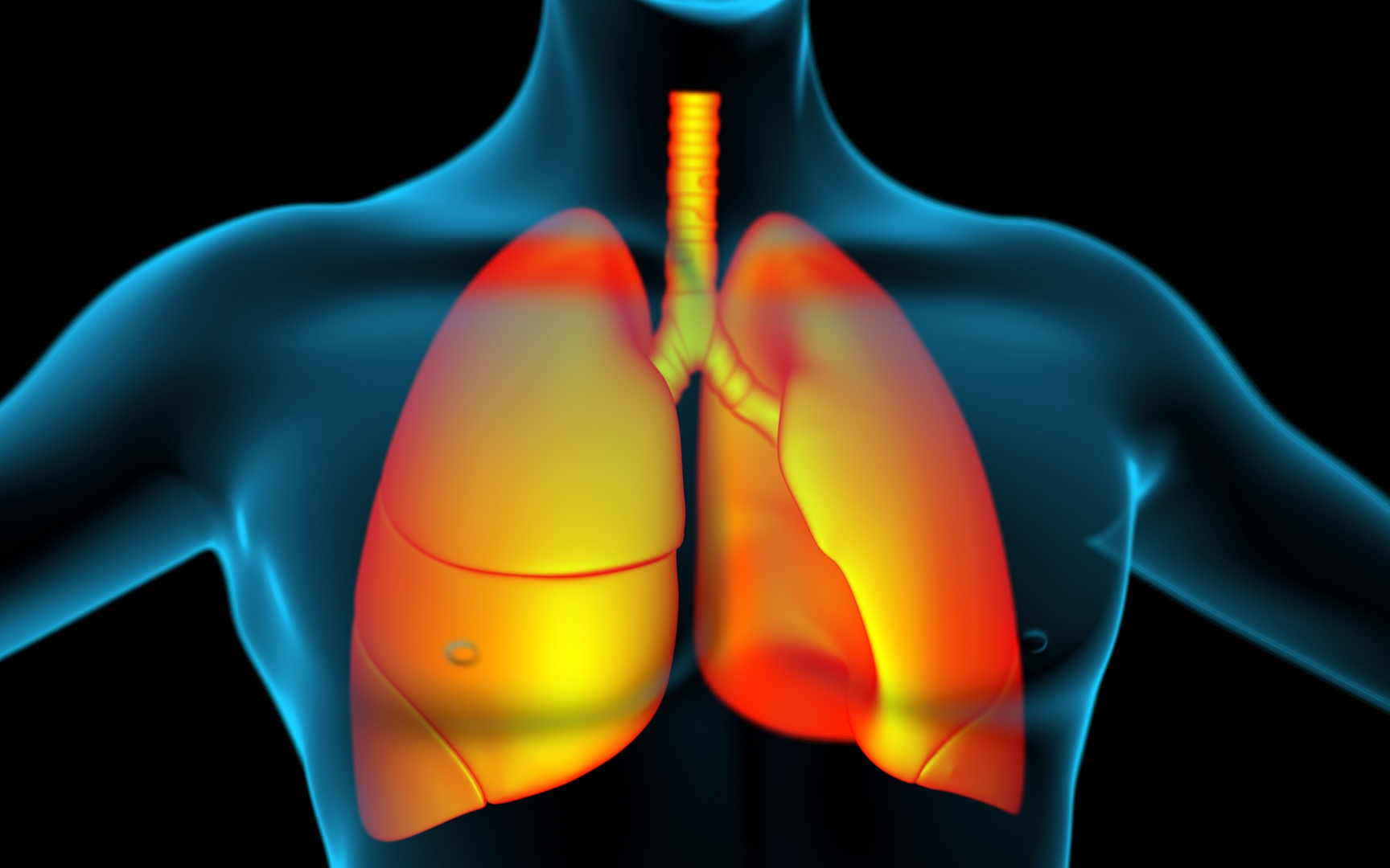 3D Lungs X-Ray model https://p.turbosquid.com/ts-thumb/VU/up1TsB/Xq/360/jpg/1669585732/1920x1080/turn_fit_q99/3f16dc94ff8194567165e0d15d42a86f3d30017d/360-1.jpg