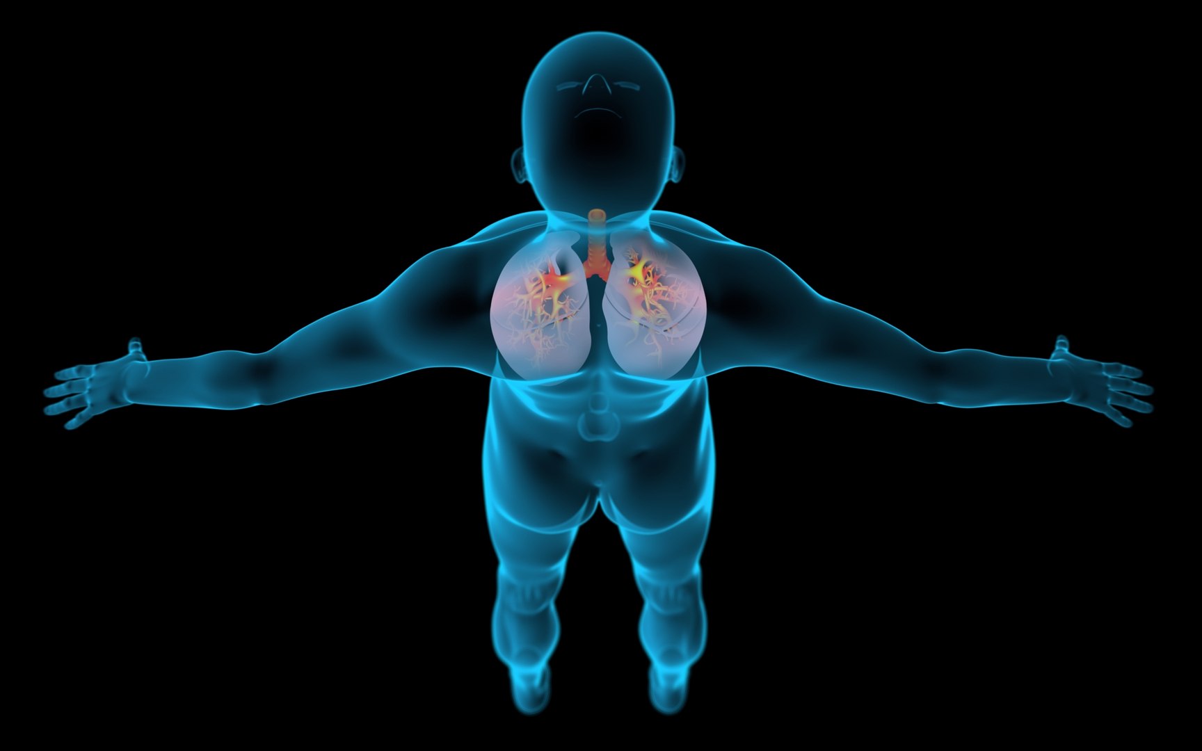 3D Lungs X-Ray model https://p.turbosquid.com/ts-thumb/VU/up1TsB/dd/02_x/jpg/1669586024/1920x1080/fit_q87/bbf8078d2887552c1f128fc574a22cee50f77cdb/02_x.jpg