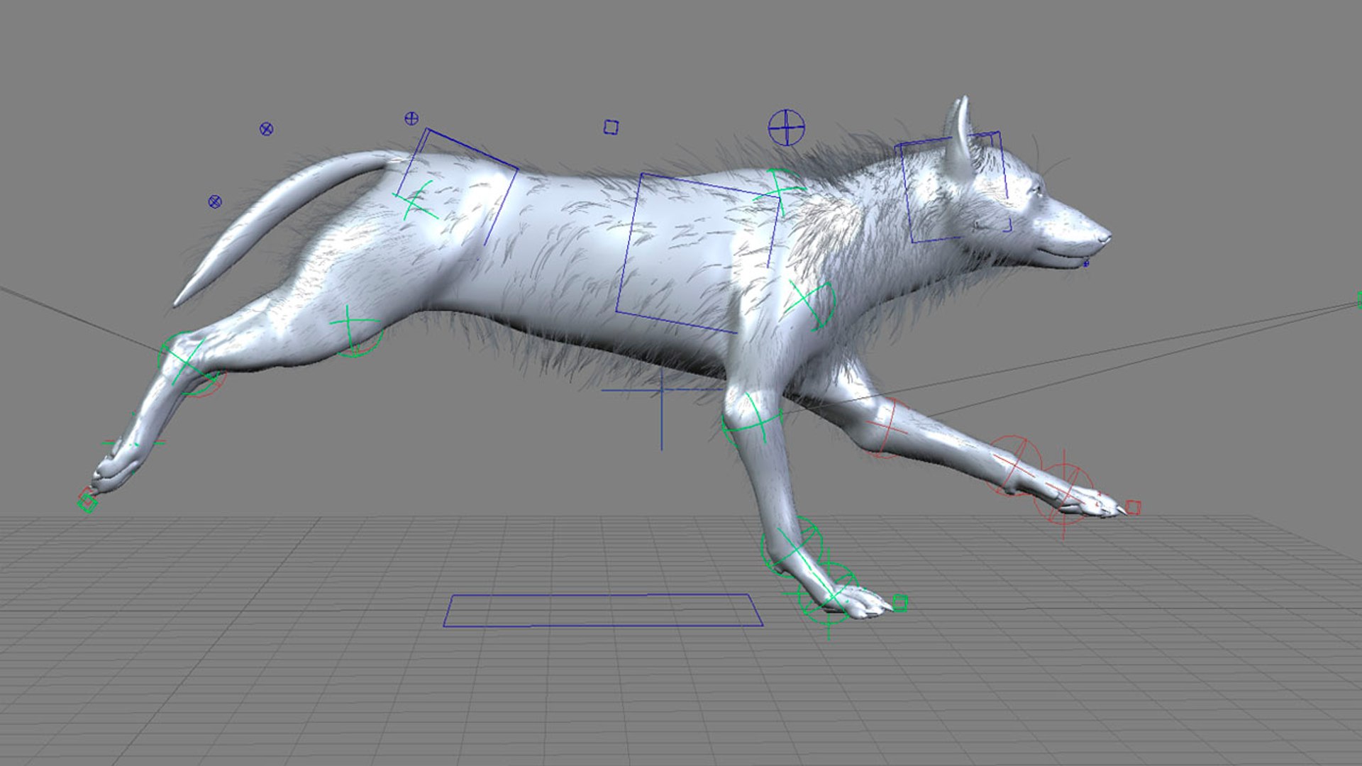 xsi photorealistic wolf canis animation https://p.turbosquid.com/ts-thumb/VV/RBpmUh/ervfafDu/wirehd_09/jpg/1299111915/1920x1080/fit_q87/fbac814da221070548d7d15d3f65d8c8eea0ba2b/wirehd_09.jpg