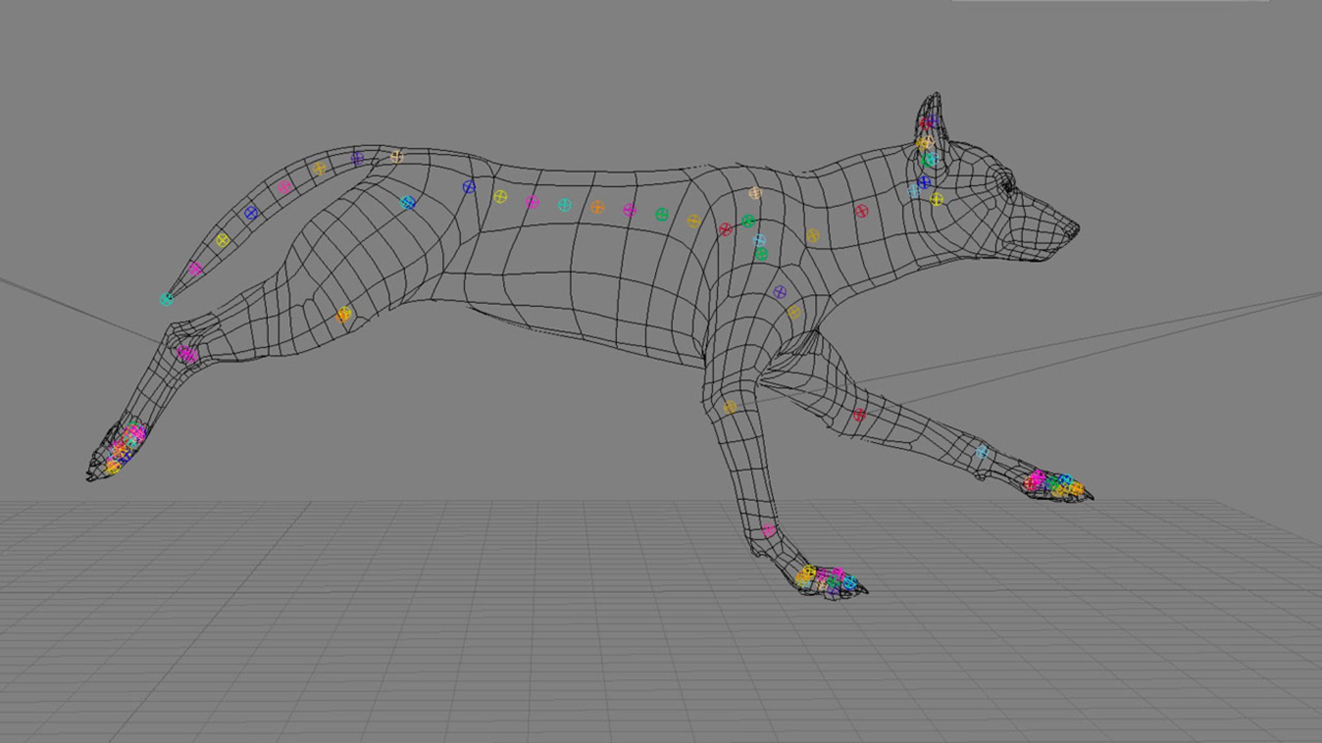 xsi photorealistic wolf canis animation https://p.turbosquid.com/ts-thumb/VV/RBpmUh/fO0GNyFJ/wirehd_06/jpg/1299111915/1920x1080/fit_q87/af97256e942253678f884d6d030189456f3e89ac/wirehd_06.jpg
