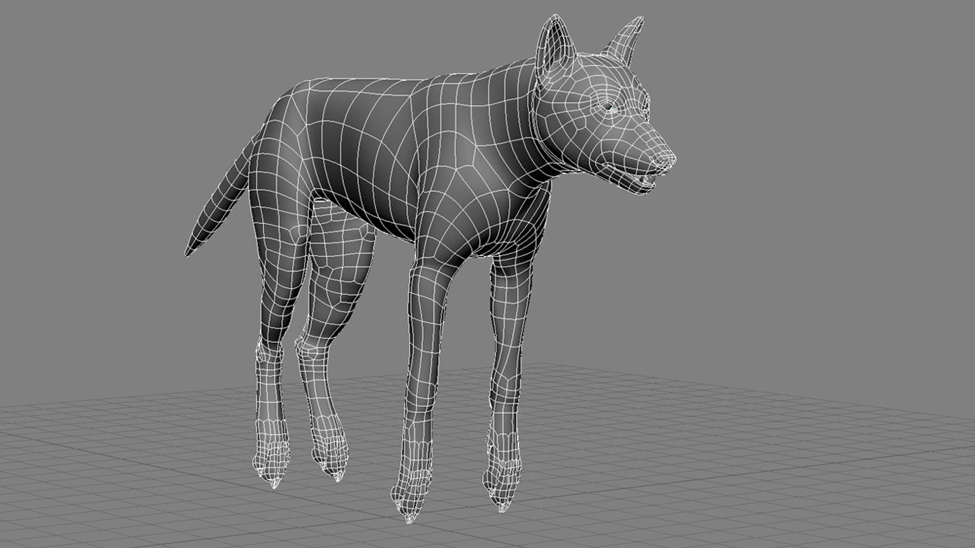 xsi photorealistic wolf canis animation https://p.turbosquid.com/ts-thumb/VV/RBpmUh/kgFRaAMB/wirehd_02/jpg/1299111915/1920x1080/fit_q87/69b43bf408a5e621ed8dcf4fbc3d2733da64f0e4/wirehd_02.jpg