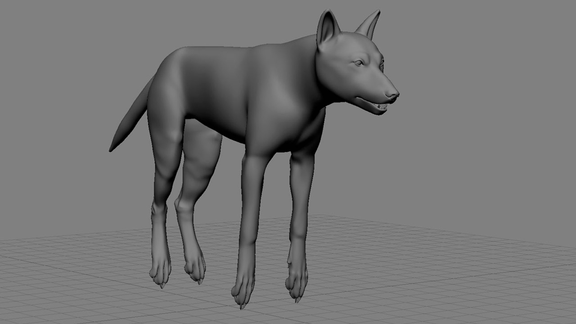 xsi photorealistic wolf canis animation https://p.turbosquid.com/ts-thumb/VV/RBpmUh/tlwvrWAN/wirehd_03/jpg/1299111915/1920x1080/fit_q87/d8637202604f30de6db76e8e4408faae4ed62c4f/wirehd_03.jpg