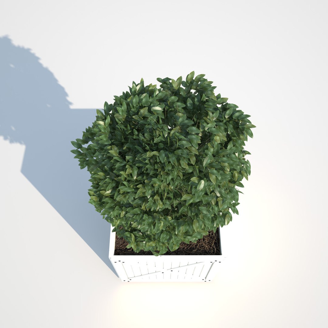 3d model bushes boxes