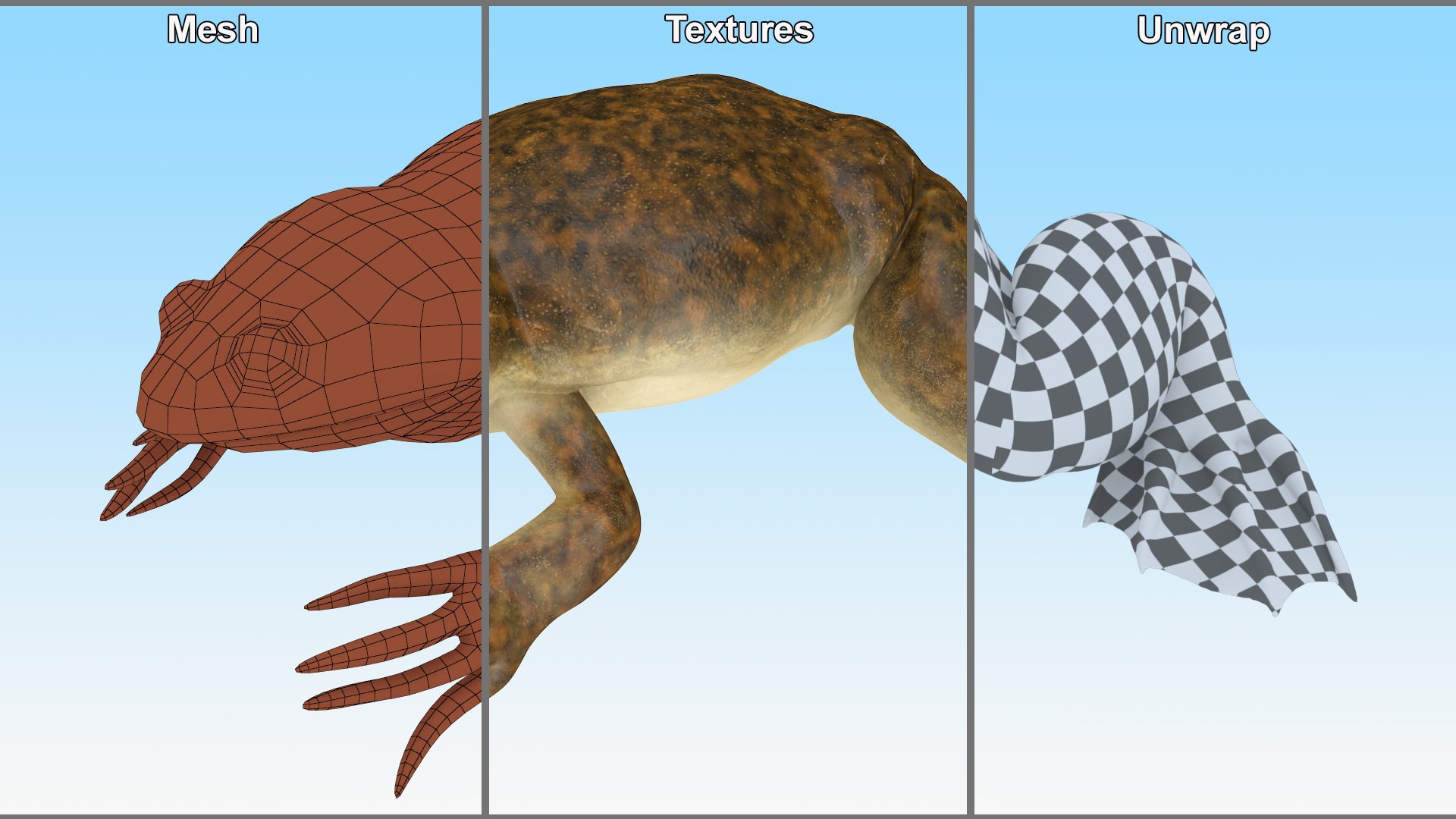 African Claw-toe Frog Sits Pose 3D model https://p.turbosquid.com/ts-thumb/VW/K7b6kM/7b/africanclawtoefrogsitspose3dsmodel018/jpg/1696020369/1920x1080/fit_q87/c66c5f6b69a744be7206f7f8f29047bf83c63a13/africanclawtoefrogsitspose3dsmodel018.jpg