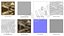 Pose de rana africana con punta de garra