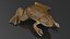 Pose de rana africana con punta de garra