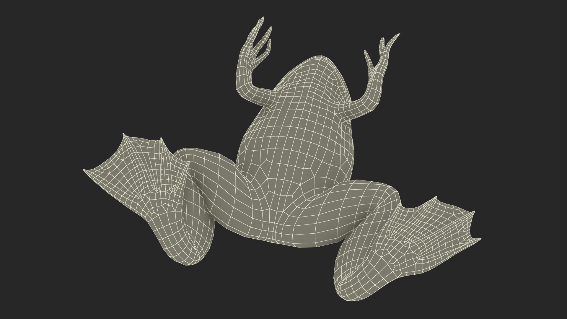 African Claw-toe Frog Sits Pose 3D model https://p.turbosquid.com/ts-thumb/VW/K7b6kM/gn/africanclawtoefrogsitspose3dsmodel035/jpg/1696020443/1920x1080/fit_q87/fbd12fadd88429847c5c44084a01d11b238de045/africanclawtoefrogsitspose3dsmodel035.jpg