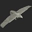 Bald Eagle Rigged