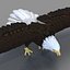Bald Eagle Rigged