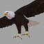Bald Eagle Rigged