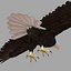 Bald Eagle Rigged
