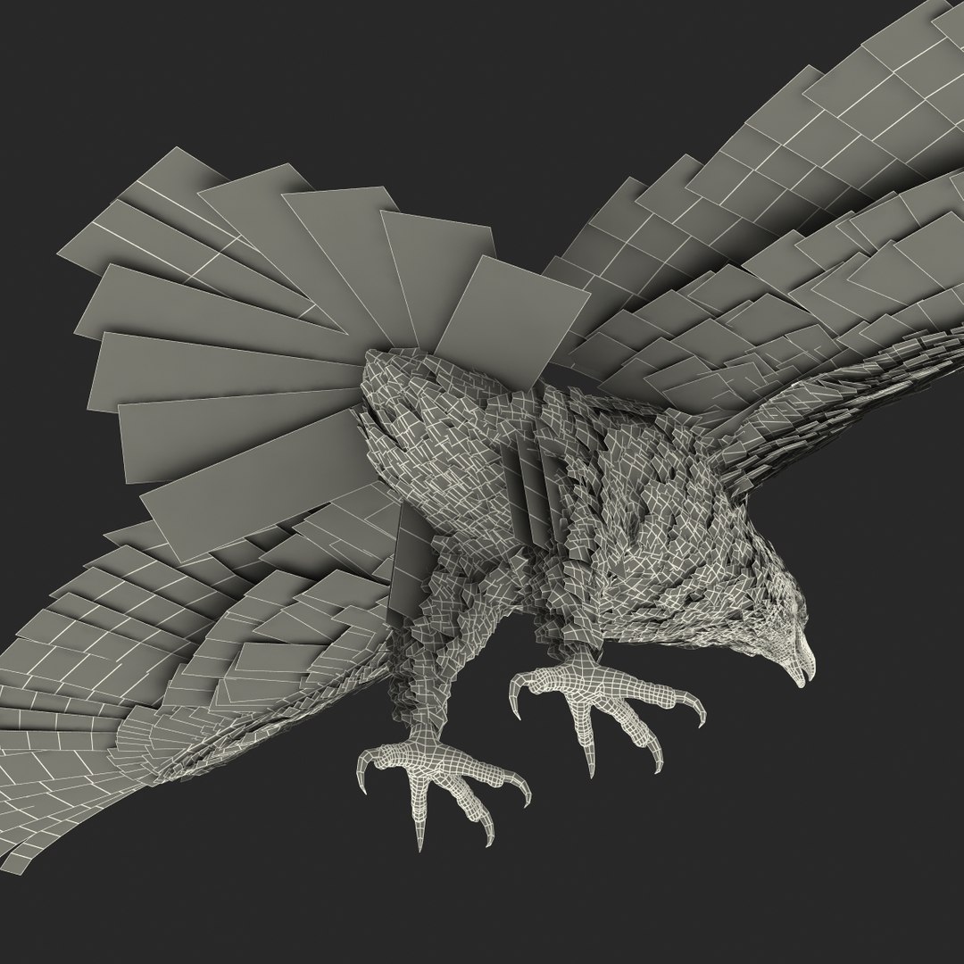 3d bald eagle rigged https://p.turbosquid.com/ts-thumb/VW/Le9t8p/EdfCMGZj/baldeaglerigged3dmodel71/jpg/1447747486/1920x1080/fit_q87/2dae4df6d8ddd15965b9a7ff9b083fe3c0e8d3f7/baldeaglerigged3dmodel71.jpg