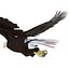 Bald Eagle Rigged