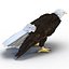 Bald Eagle Rigged