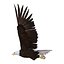 Bald Eagle Rigged