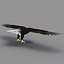 Bald Eagle Rigged