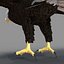 Bald Eagle Rigged
