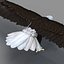 Bald Eagle Rigged
