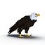Bald Eagle Rigged