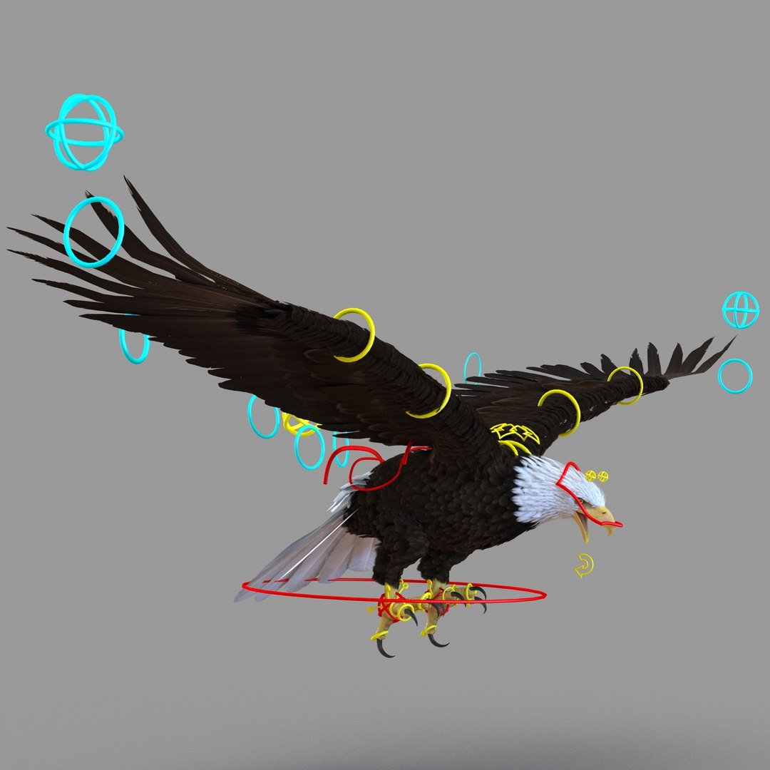 3d bald eagle rigged https://p.turbosquid.com/ts-thumb/VW/Le9t8p/dntVtwF3/baldeaglerigged3dmodel58/jpg/1447747485/1920x1080/fit_q87/ce5593fc4aa22c12fcb722b4dcfe757790475492/baldeaglerigged3dmodel58.jpg