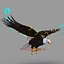 Bald Eagle Rigged